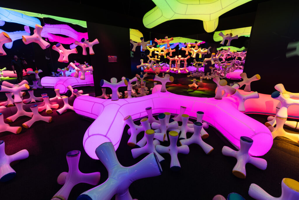 Glow Lab photo - wide shot